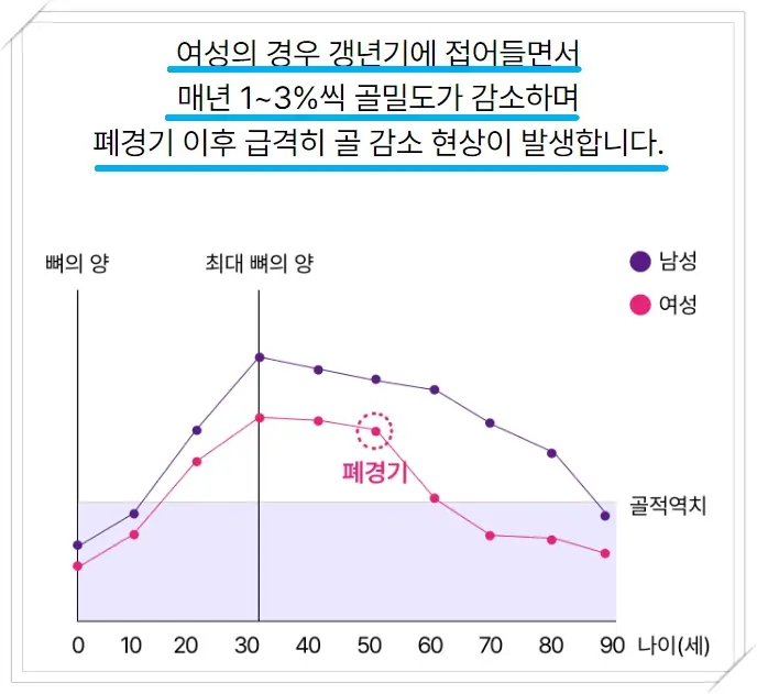 여성 갱년기 골 밀도 감소율