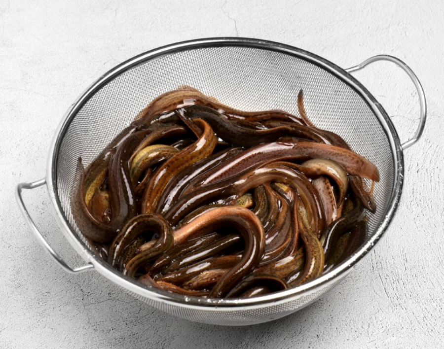 야생에서 채취를 한 미꾸라지를 깨끗하게 세척을 한 후에 쇠로 만든 동그란 소쿠리에 가득 담아두고 흰색 바닥에 놓아두고 찍은 사진