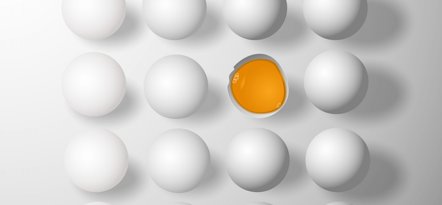 여러 개의 달걀이 있다