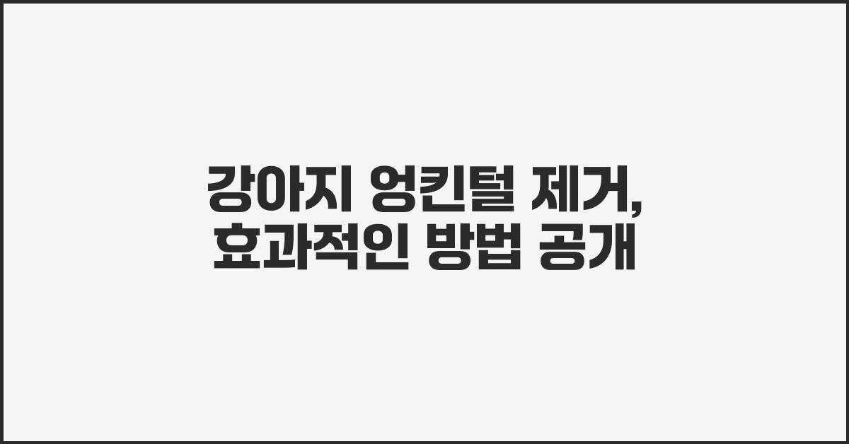 강아지 엉킨털 제거
