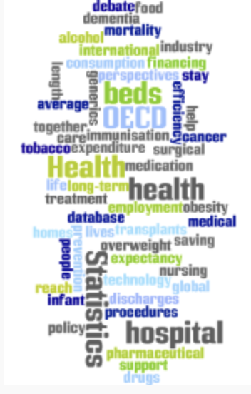 OECD 홈페이지 보건통계 자료 부분에 게시된 그림으로서 보건통계와 관련된 어휘들의 사용빈도를 빅데이터화하여 나타낸 그림입니다.