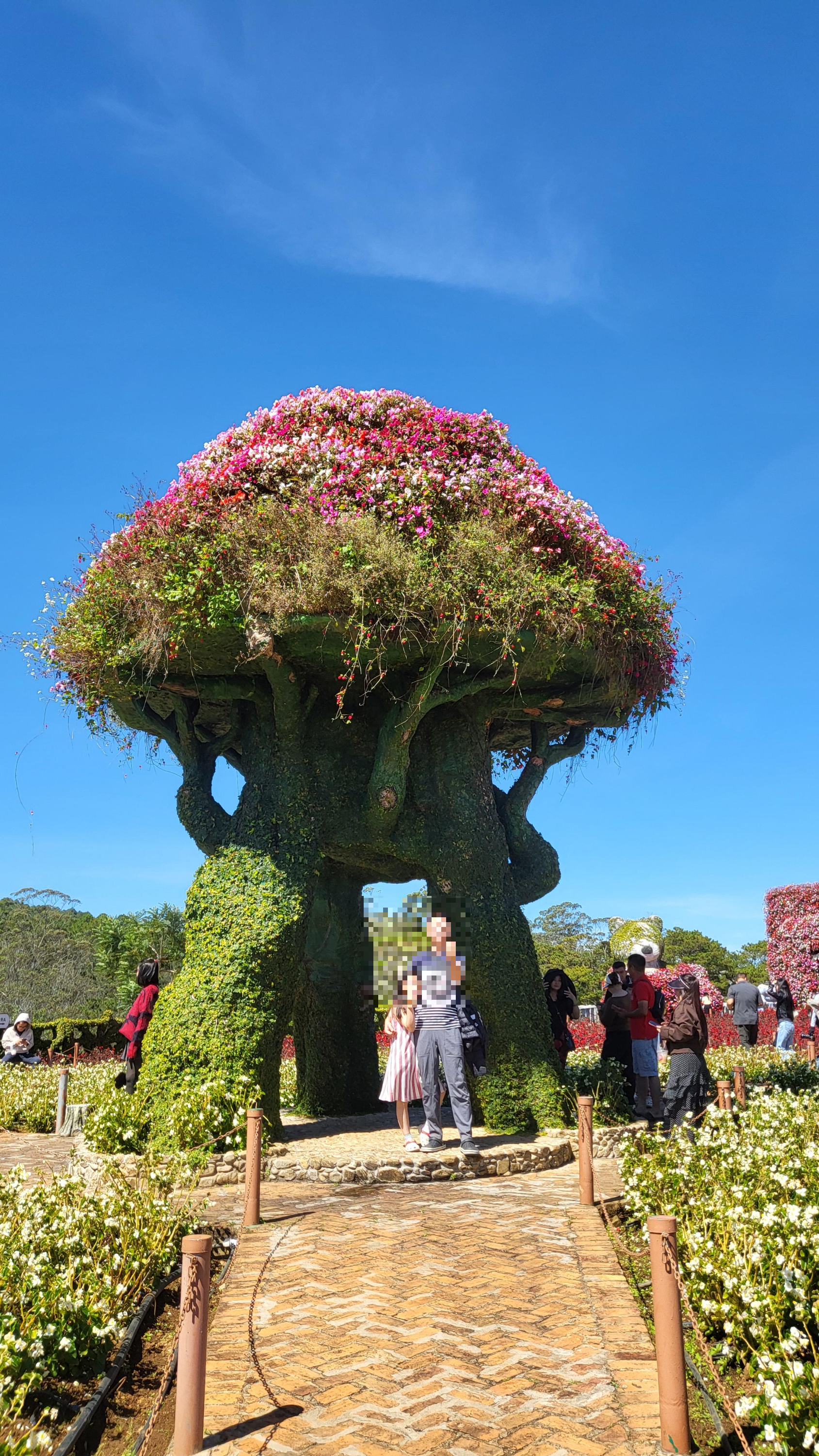 [달랏 여행] 꽃의 도시를 만나다! &amp;#39;플라워 가든&amp;#39; 붉은 베고니아 꽃밭 &amp; 미니 동물원(초3 아이 동반)
