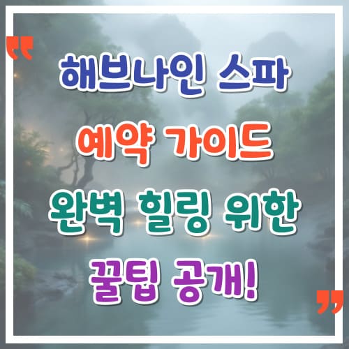 제천-해브나인-스파-예약-가이드-완벽한-힐링을-위한-꿀팁-공개