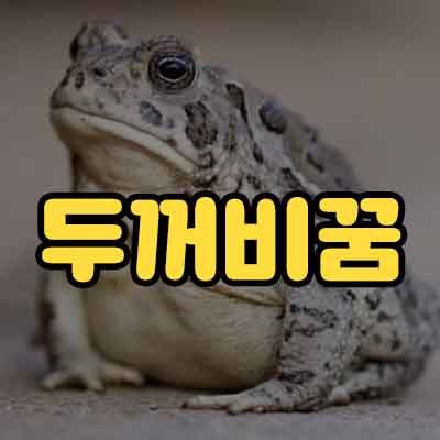 두꺼비꿈