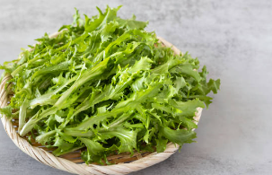 치커리 효능