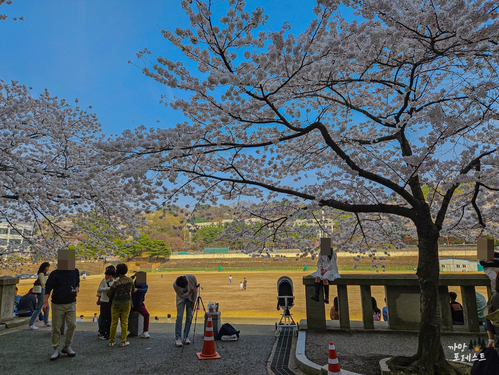 경희대 국제 캠퍼스 포토존