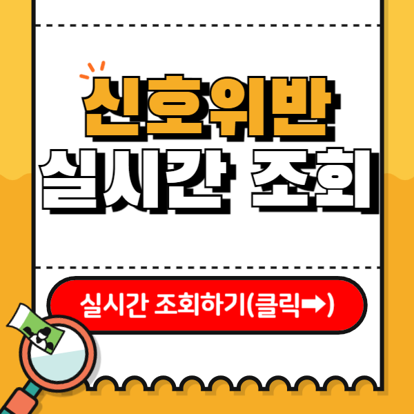 신호위반 실시간 조회 ✅방법 및 주의할 점