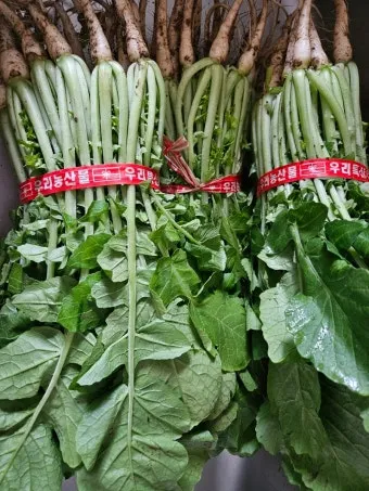 열무김치 맛있게 담그는법 감칠맛_19