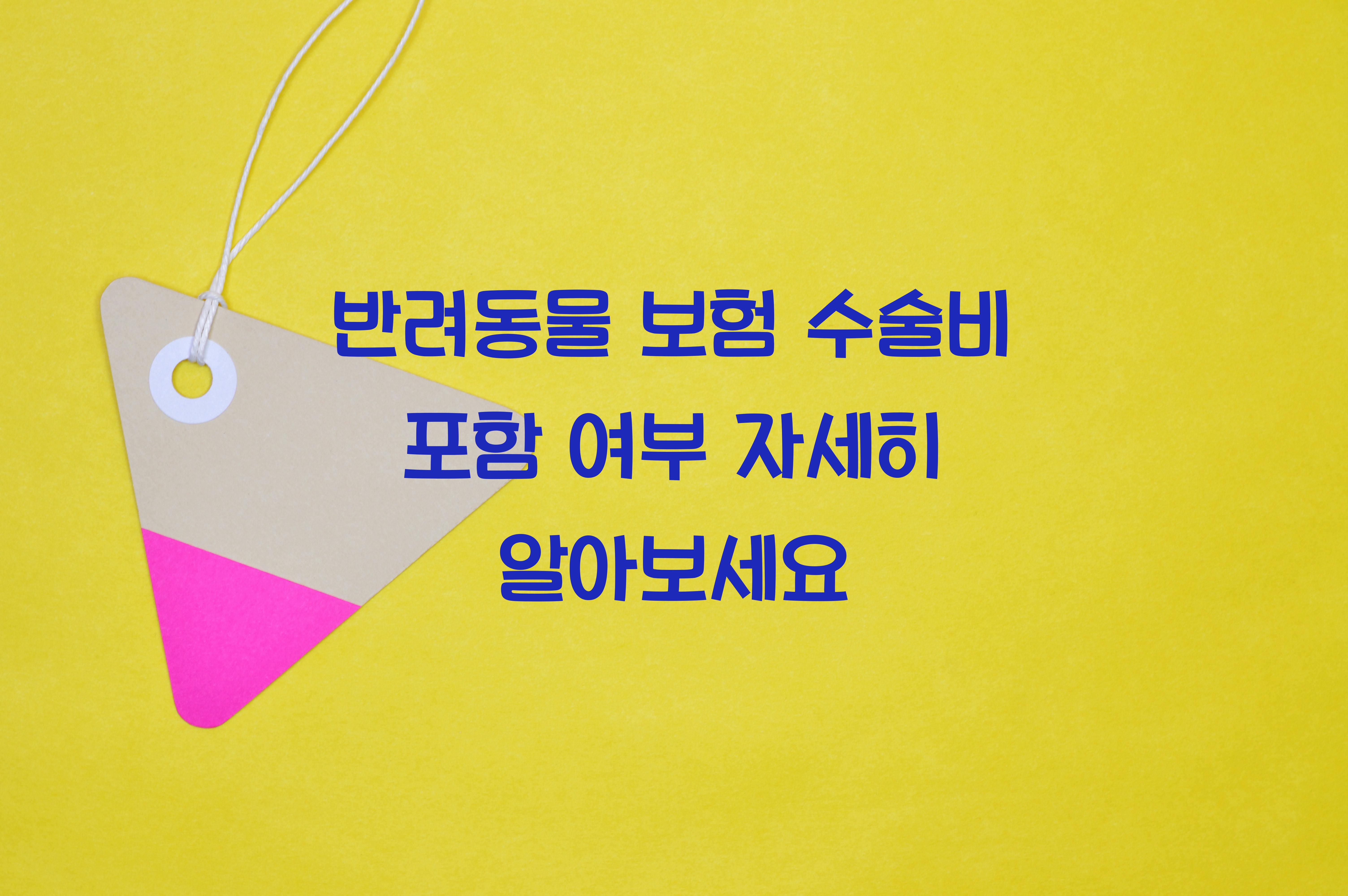 반려동물 보험 수술비 포함 여부