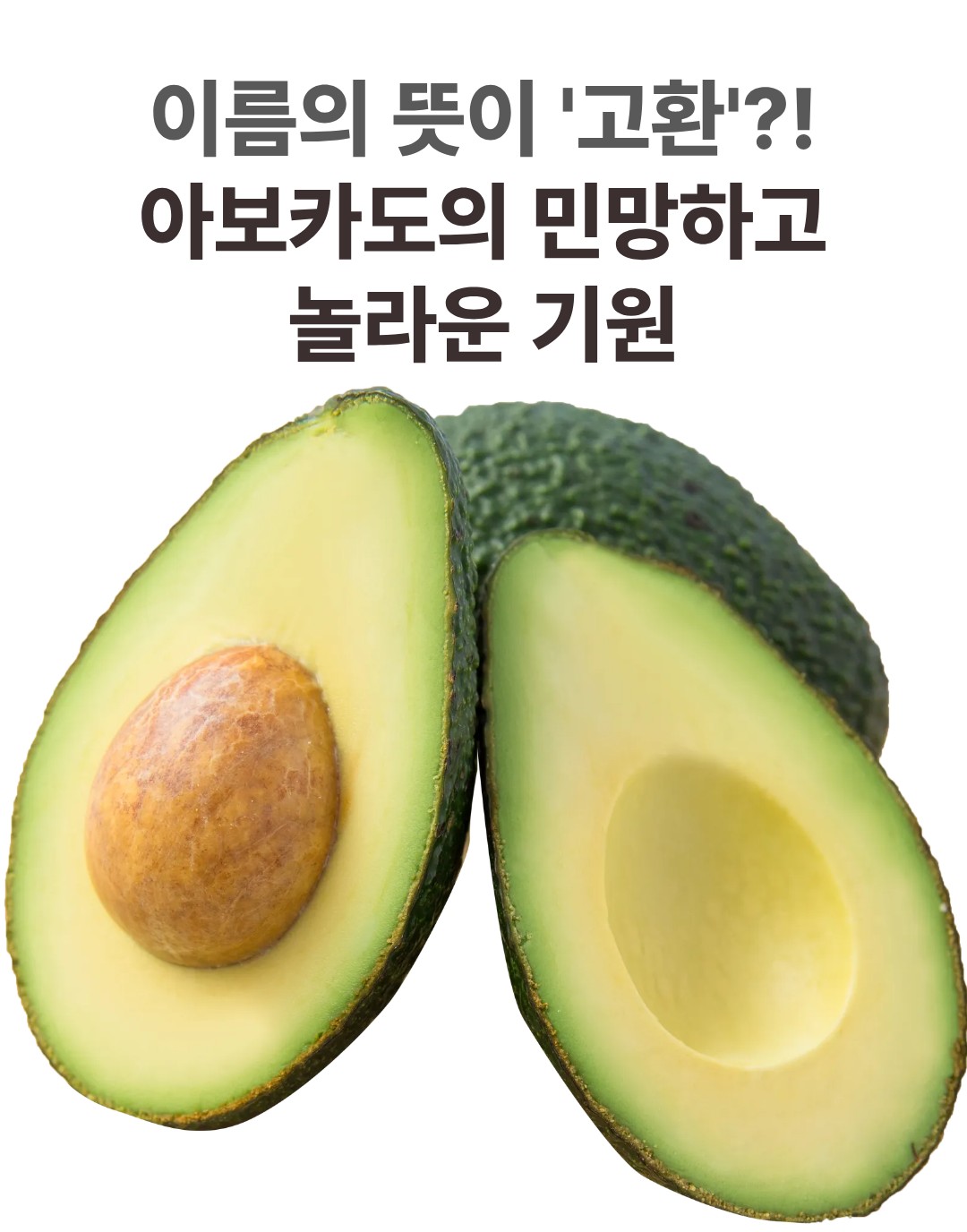 반으로 잘려 가운데 커다란 씨앗이 드러난 신선한 초록색 아보카도