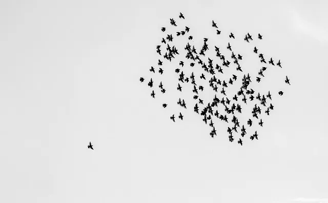 개인사업자 정부 지원금 완벽정리 로 혜택정리_3