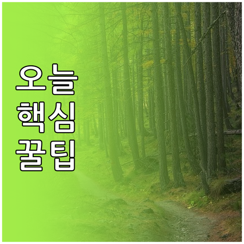 개인사업자 종합소득세 5월 신고 이것..