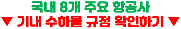 기내반입-캐리어-사이즈-무게-기내-수하물-항공사-규정-기내-반입-금지-물품-보안검색대-보조배터리-휴대용-선풍기-손-선풍기-면도기-고데기-드라이기-손톱깎이-눈썹칼-텀블러-액체류