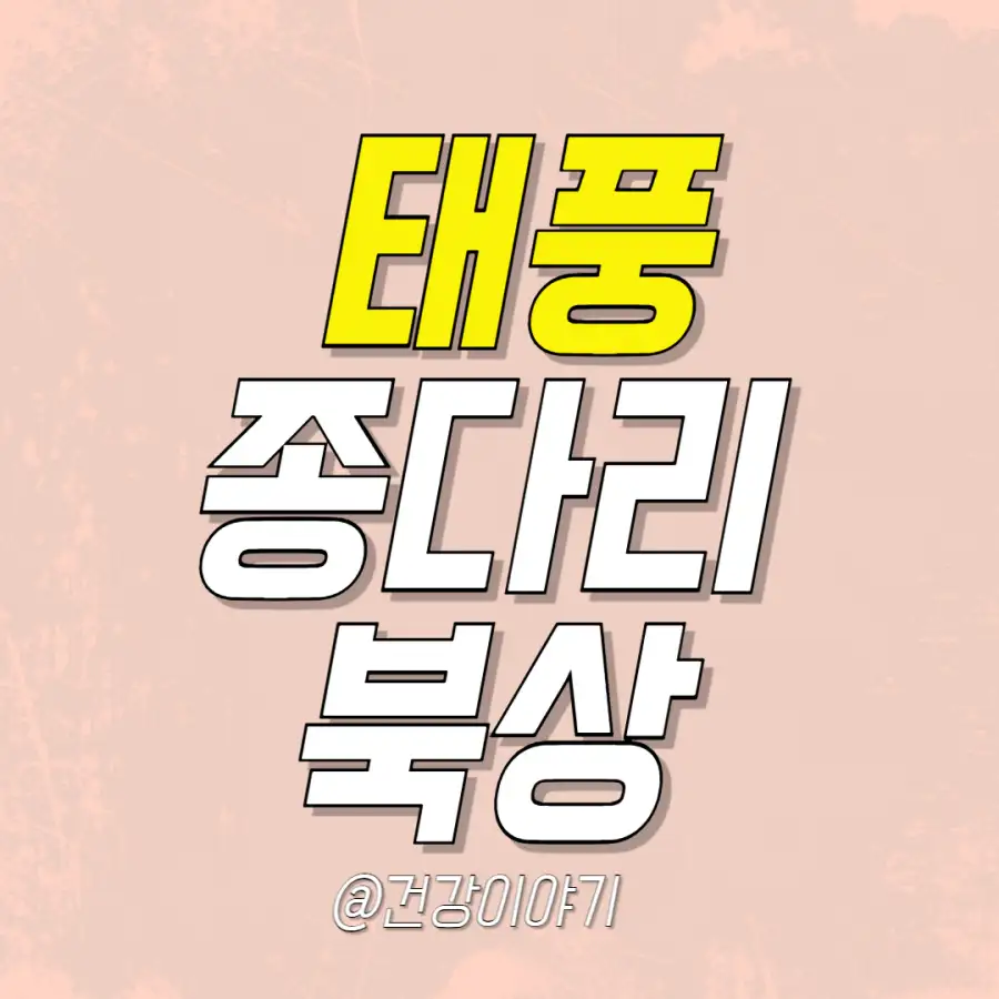 태풍-종다리-경로