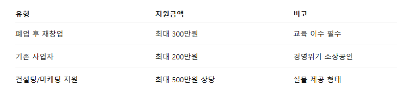 소상공인 재도약 지원금