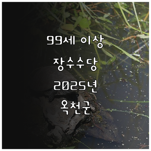 만 99세 이상 2025 옥천군 장수..