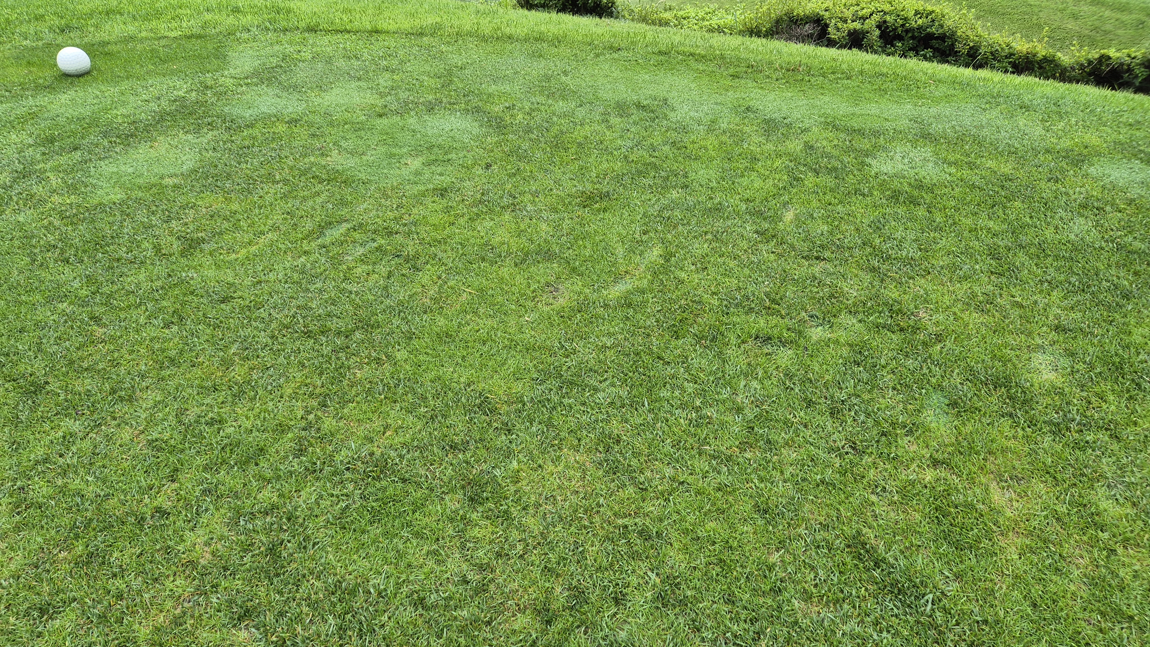 뉴스프링빌cc 라운드 후기