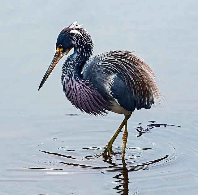 평택지제역 SRT 기차 시간표 확인과 예매 노하우 소개_7