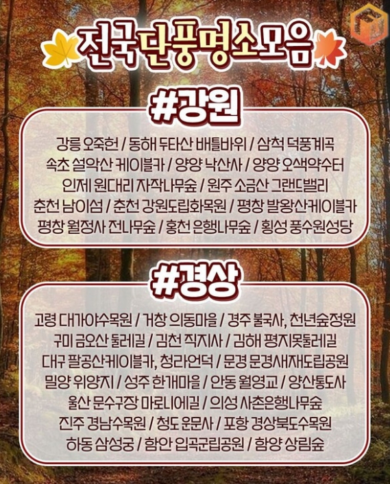 단풍시기04