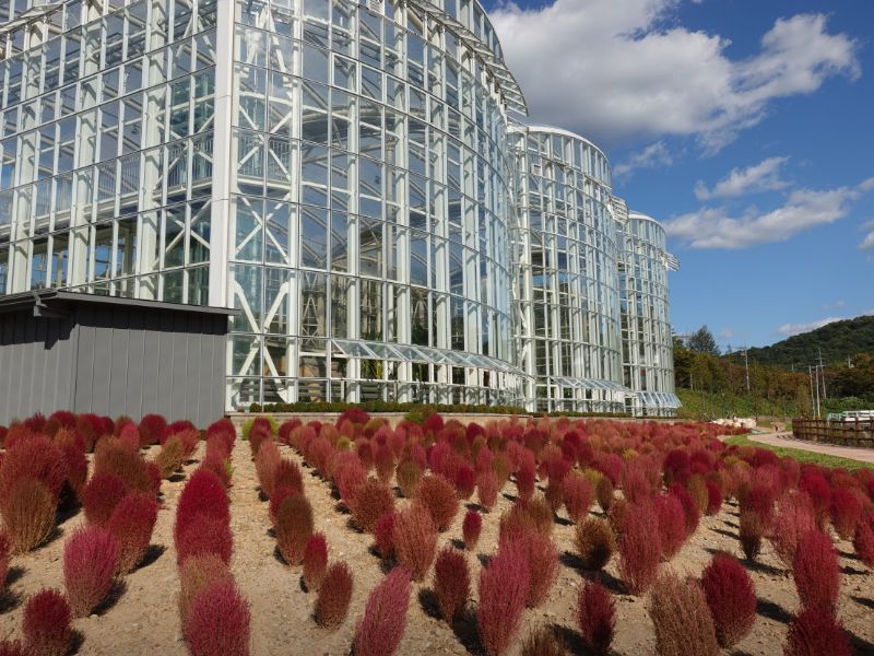 광주시립수목원