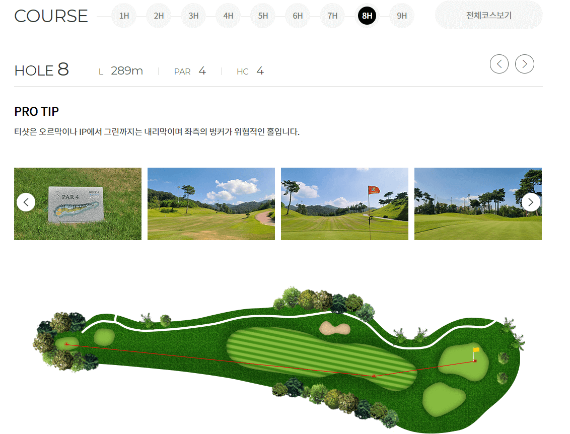 코스8