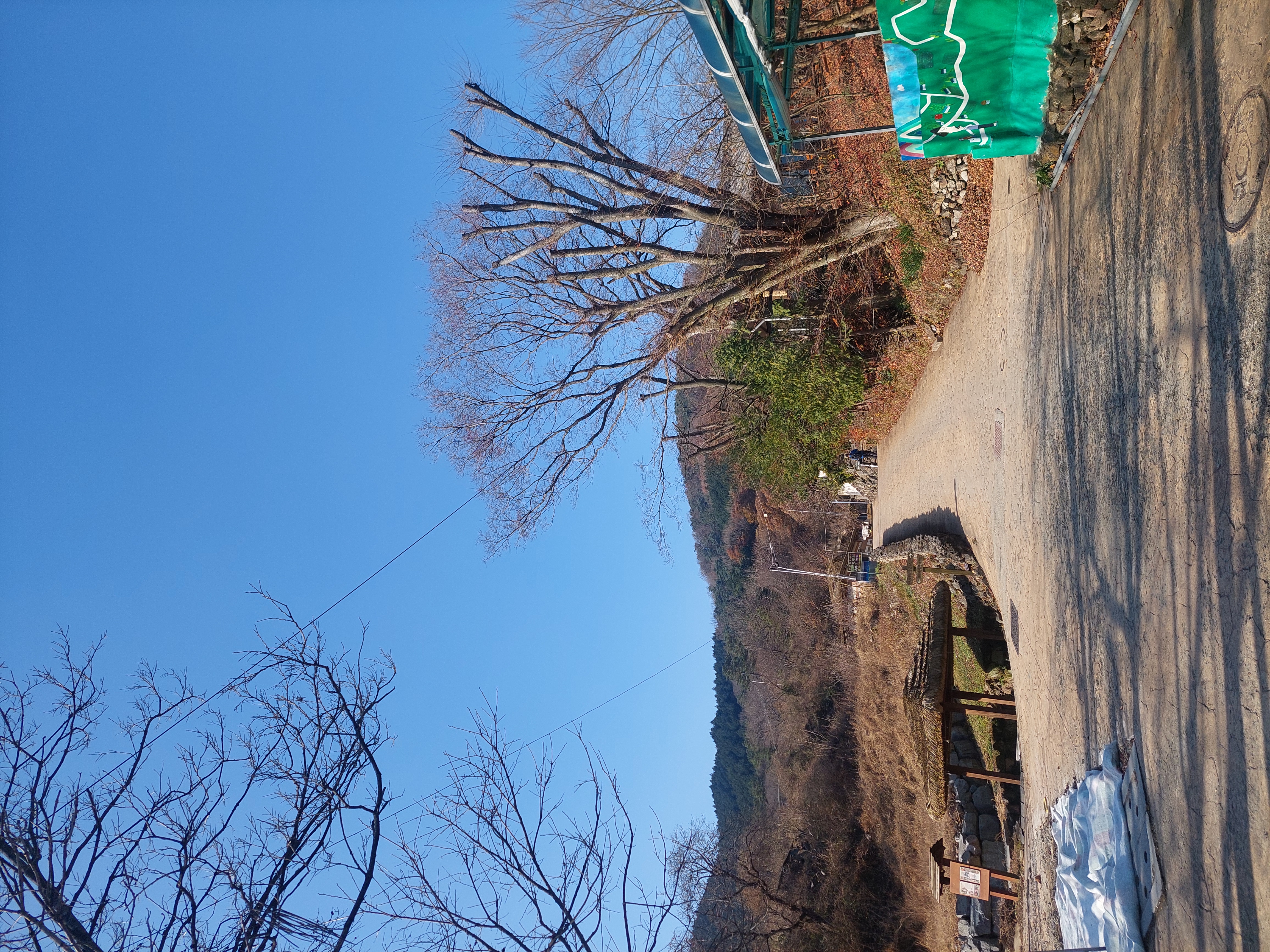축령산