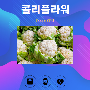 콜리플라워 알아보기