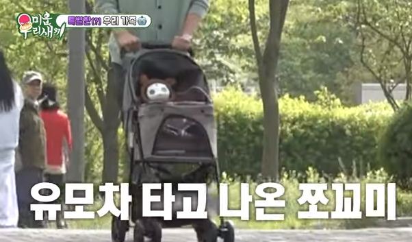 미운우리새끼 리쿠