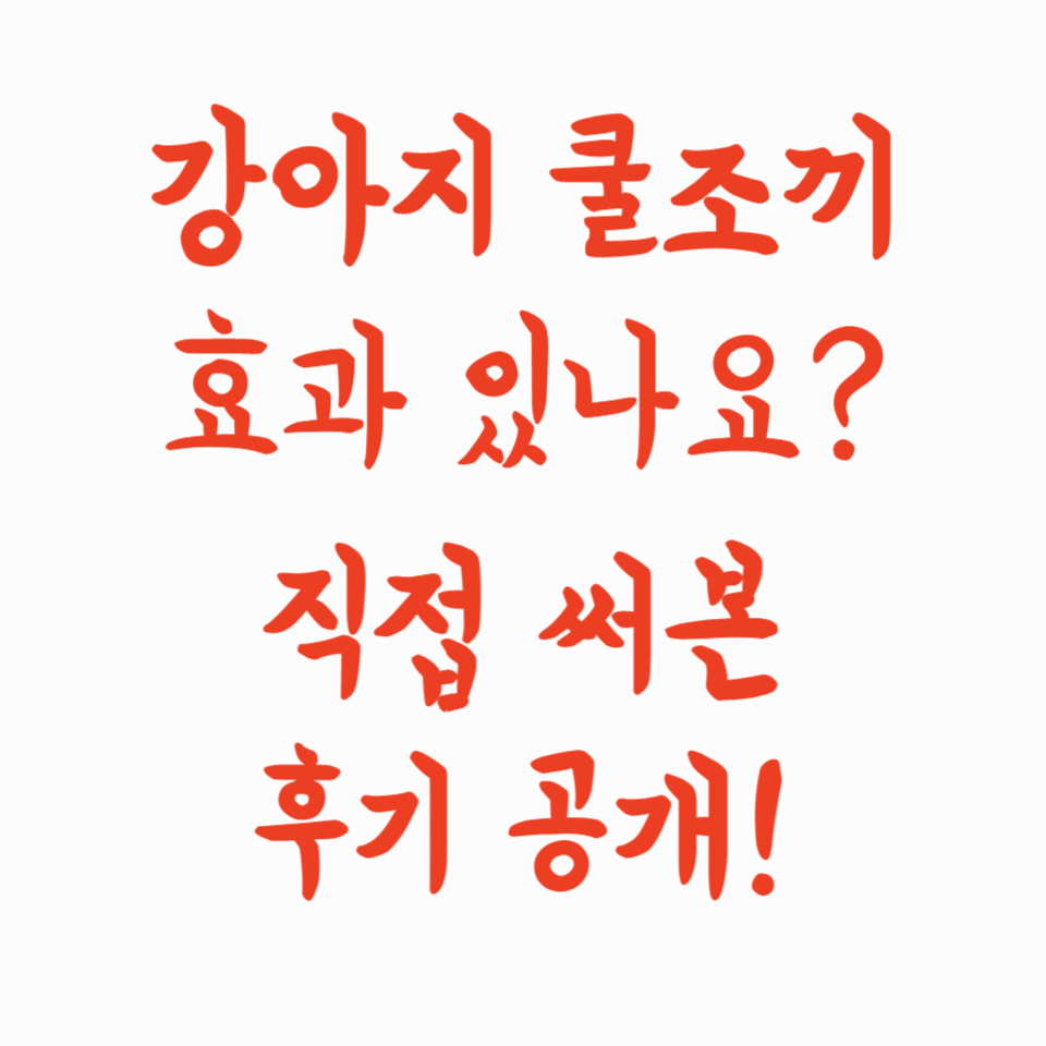 강아지 쿨조끼 효과 있나요? 직접 써본 후기 공개!