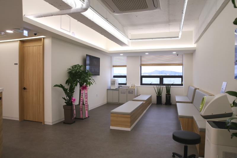 송파구 방이1동 내과 병원 24시 야간진료 유명한 곳 잘하는 곳 추천