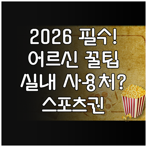 2026년 어르신 스포츠 상품권 실내..