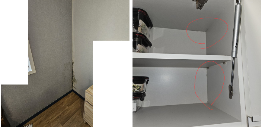 자주 확인하지 못한 위치에 곰팡이