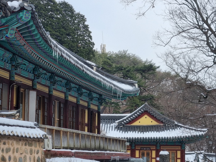 동학사-고드름
