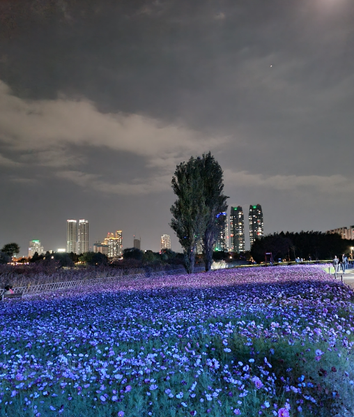 태화강 국가정원 십리대숲