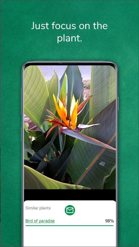 식물이름 찾기 어플, 사진으로 무료 식물식별하기