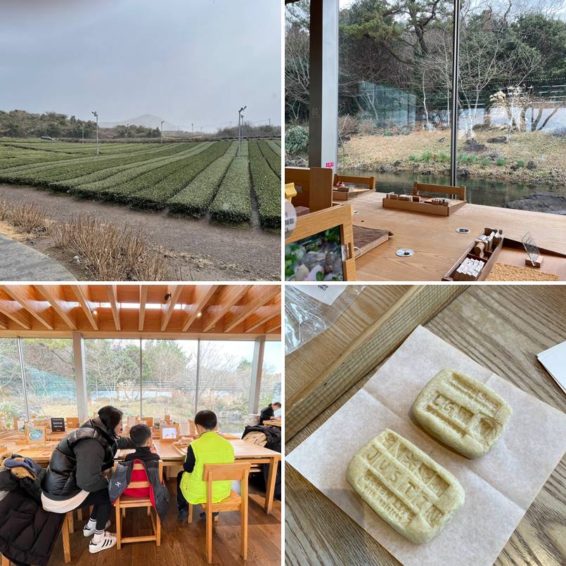 오설록 이니스프리 비누만들기