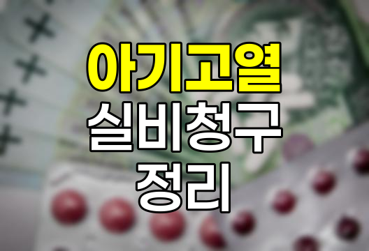아기 고열 2인실 입원 실비청구 완벽 정리