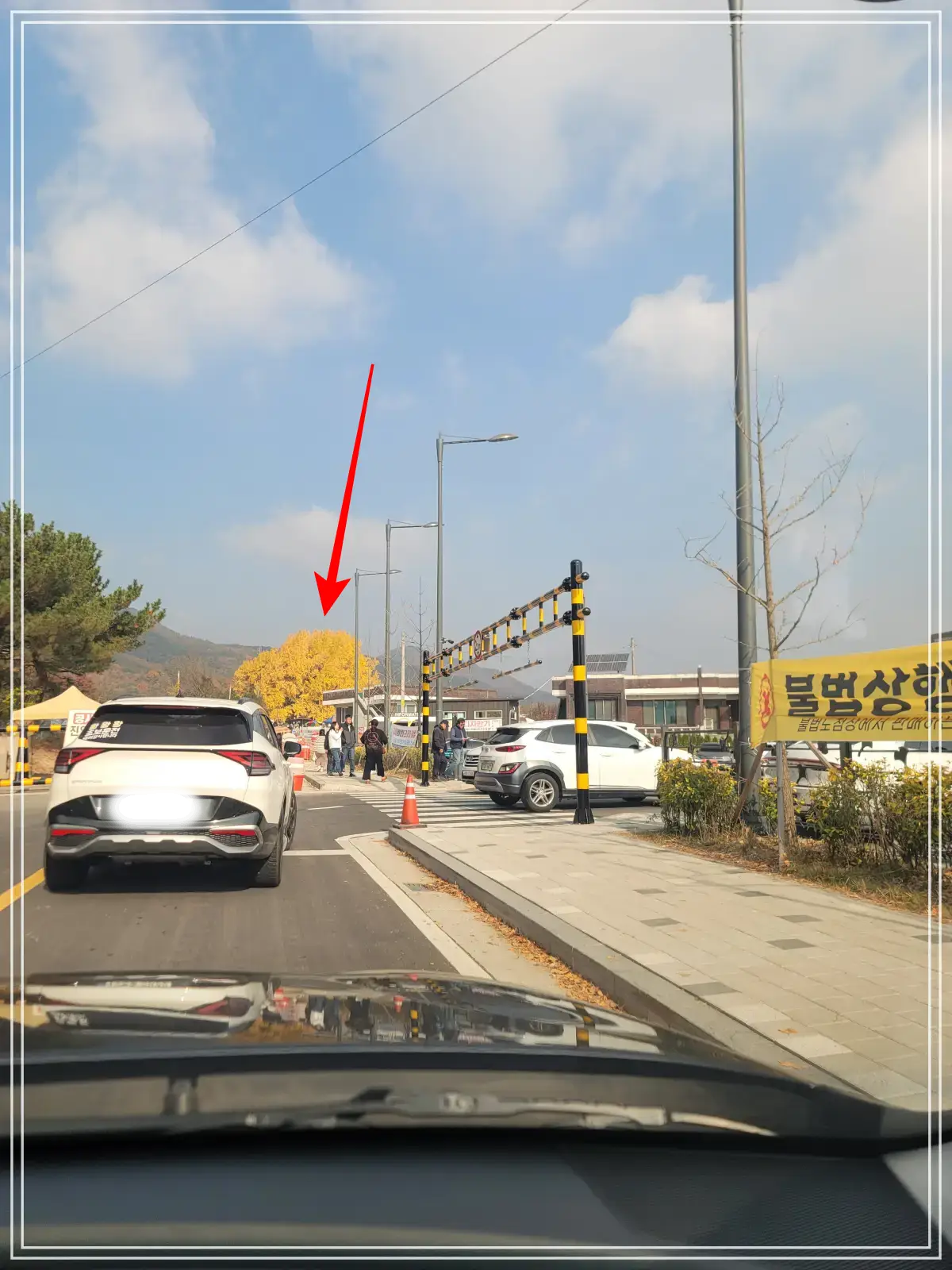 반계리-은행나무-주차장-입구-서행