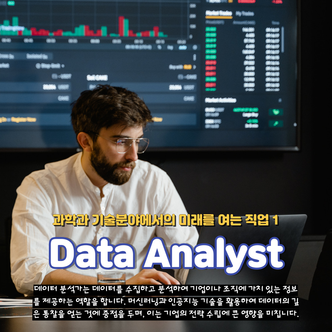 Data Analyst