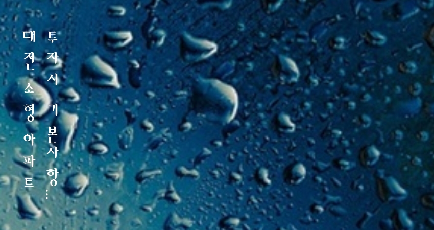 대전 소형 아파트 투자