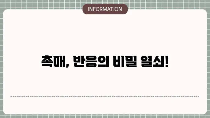 촉매 (catalyst)