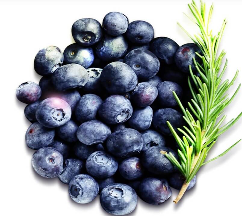 생생정보 2314회 수확의 달인 고성 블루베리 산들블루베리 주문방법