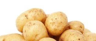 감자 꿈해몽 13가지 