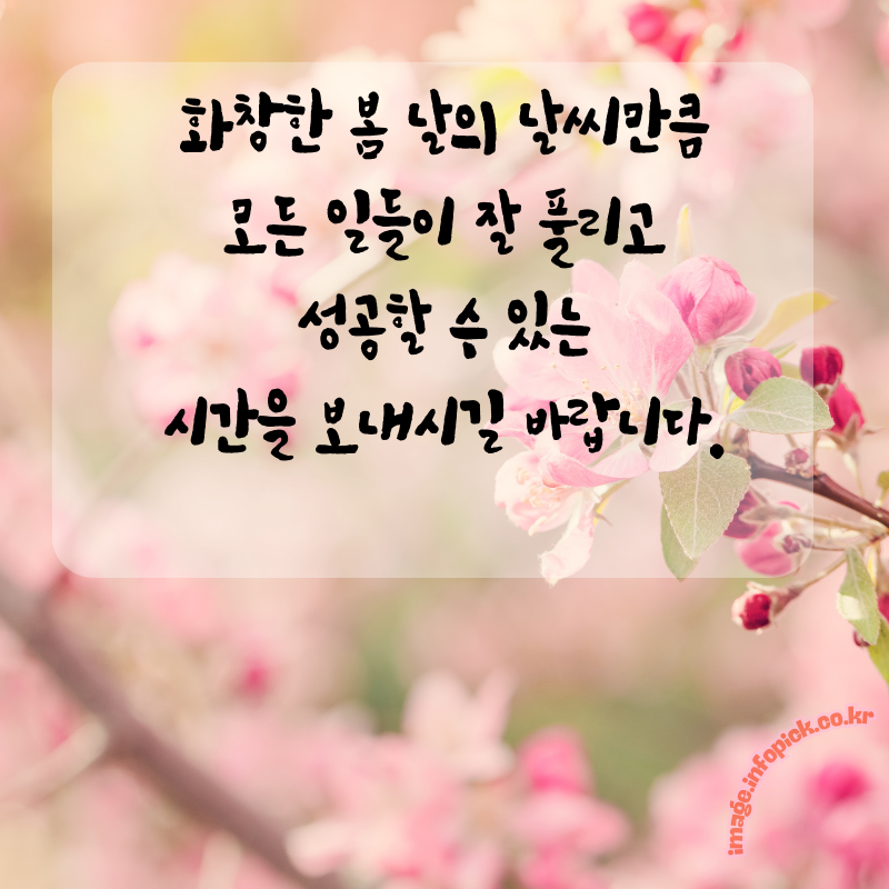 3월 인사말 문구 이미지 모음집3월 인사말 문구 이미지 모음집