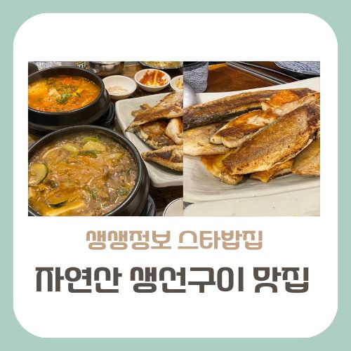 스타밥집