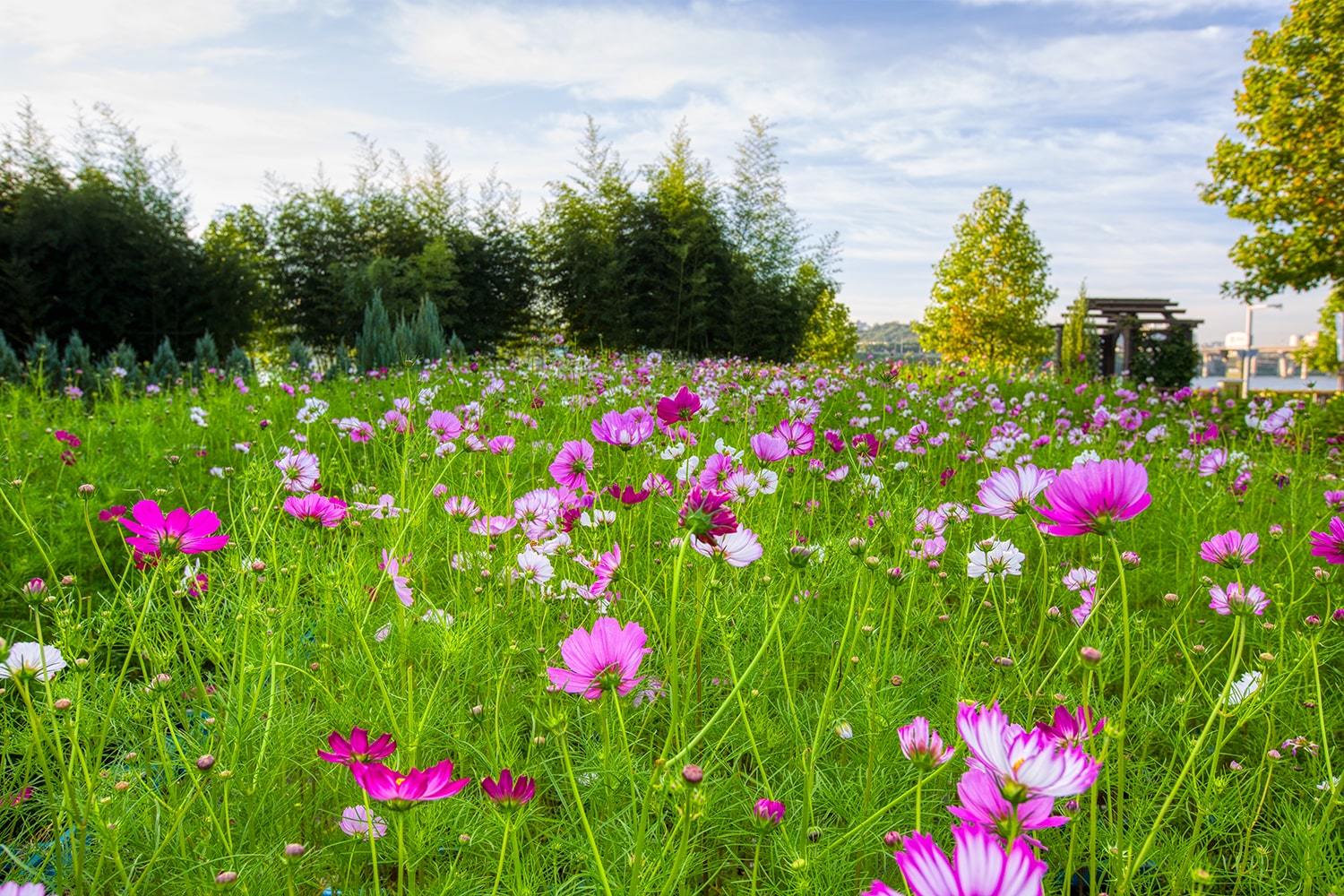 구리 한강공원- 23
