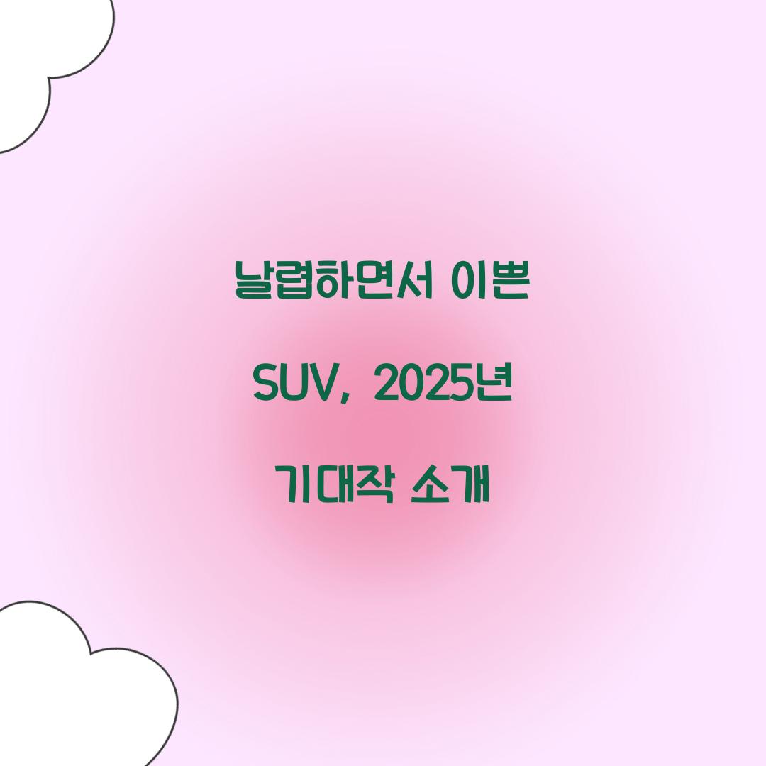 날렵하면서 이쁜 SUV