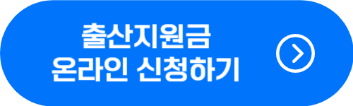 출산지원금 온라인(인터넷) 신청 바로가기 버튼