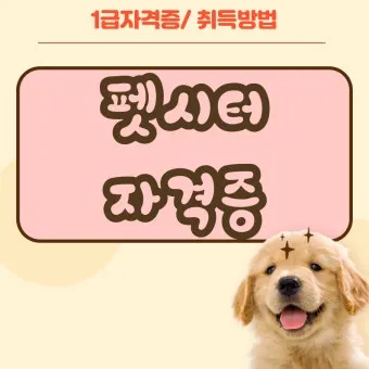 펫시터자격 교육과정 활동영역 창업준비 시니어 돌봄 일거리 찾기_28