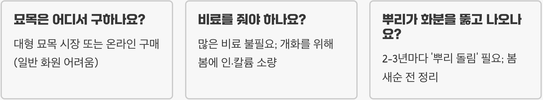 아카시아꽃 화분에서 키우기 가능할까, 작은 공간에서 관리하는 법